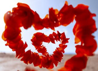 March 31 – Love’s Offering