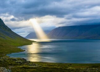 April 8 – Marks of the Kingdom