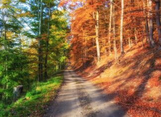 April 28 – The Roundabout Way