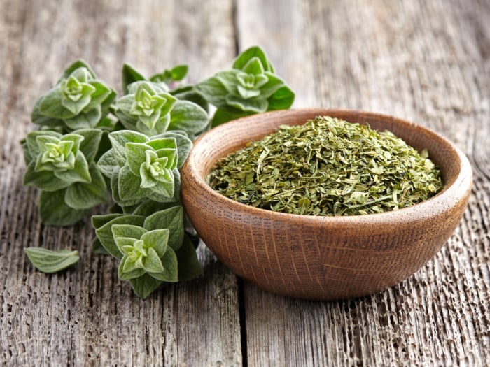 Oregano Cleanses Lungs, Reduces Mucus & Improves Airflow! Dr. Mandell
